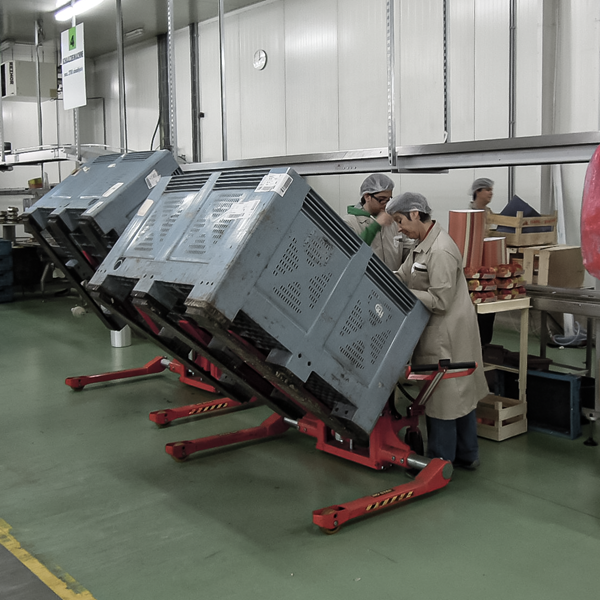 elektrischer Behälterneiger Breitspur AWB1