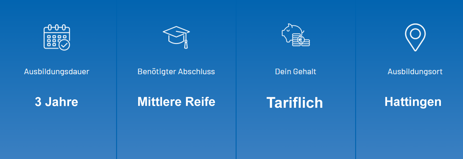 Übersicht Ausbildung