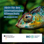 IKI-Jahresbericht 2020